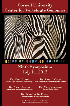 Promotional poster featuring a zebra and painted chromosomes.