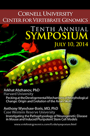 Promotional poster featuring a toucan superimposed over a circular phylogenetic plot