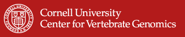 Cornell University Center for Vertebrate Genomics Logo